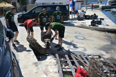 IPB_6310