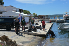 IPB_6336