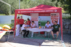 IPB_6342