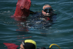 IPB_6352