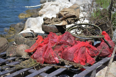 IPB_6367