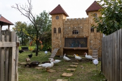 Novi-hit-u-Baranji