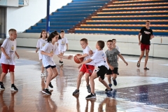 IVA_3919