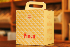 BoogieLab_Pinca_01