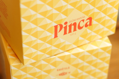 BoogieLab_Pinca_04