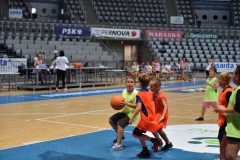 IVA_5068