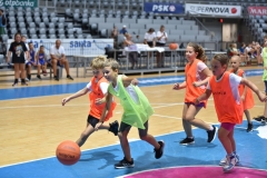 IVA_5119