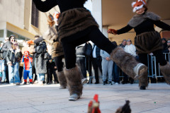 53-Karnevalska-povorka-Zadar-15.2.2026-Foto-Bojan-Bogdanic