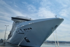 MSC-Fantasia-2