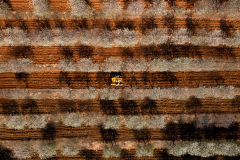 DJI_0887-Edit