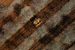 DJI_0888