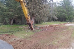 IMG-20220221-WA0003