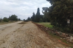 IMG-20220221-WA0005