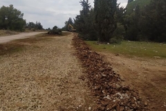 IMG-20220221-WA0007
