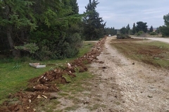IMG-20220221-WA0008