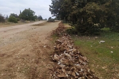 IMG-20220221-WA0010