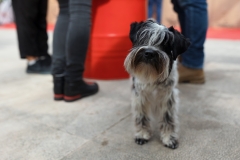 48-Zadar-Meat-Me-2.0-4.-dan-21.10.2021-Photo-by-Bojan-Bogdanic