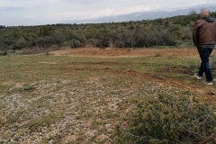 IMG-20210422-WA0015