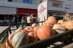 45-Zadar-Meat-Me-2.0-1.-dan-18.10.2021-Photo-by-Bojan-Bogdanic