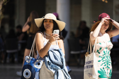 842A2098