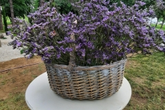 Photo-1