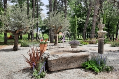 Photo-6