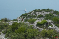 TRAIL3