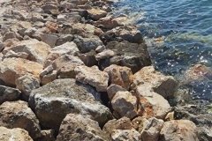 IMG-20220818-WA0023