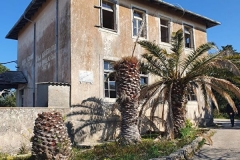 OtociDukic1
