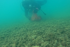 DCIM\101GOPRO\GOPR3492.JPG