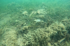 DCIM\101GOPRO\GOPR3451.JPG