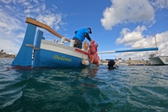 DCIM\101GOPRO\GOPR3483.JPG
