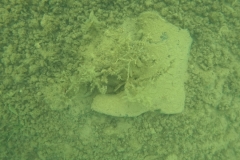 DCIM\101GOPRO\GOPR3496.JPG