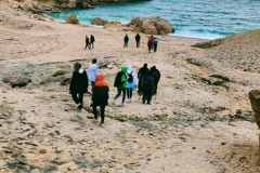 IMG-1b9ea597002523684c89f33c04042e31-V-–-kopija