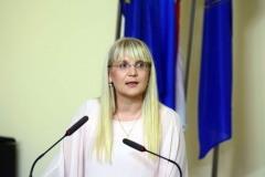 ljubicic-knjiga-8