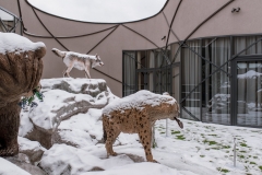 2023_1_19_Speleon-24