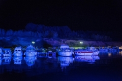 DSC01900