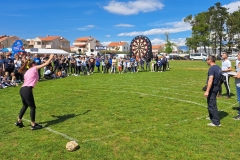 3b