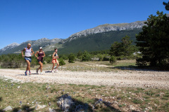 Starigrad-Veliko-Rujno-2025