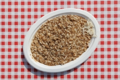 11-Meat-Me-Festival-Zadar-peti-dan-14.10.2023-Foto-Bojan-Bogdanic