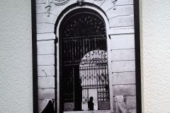 znanstvena-23