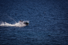 842A1017