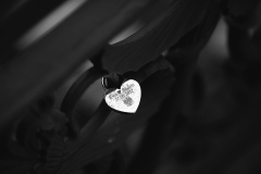 IMG_3144