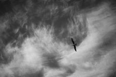 IMG_3213