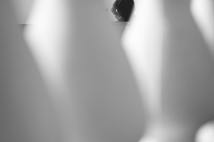 842A8119