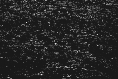 842A8987