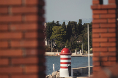 842A5528