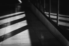 842A9708