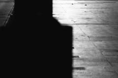 842A6210