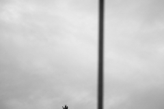 IMG_0573